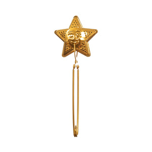 Brass Star Loose Leaf Tea Infuser - Yellowstone Art Boutique
